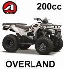 Ricambi Aeon Overland 200